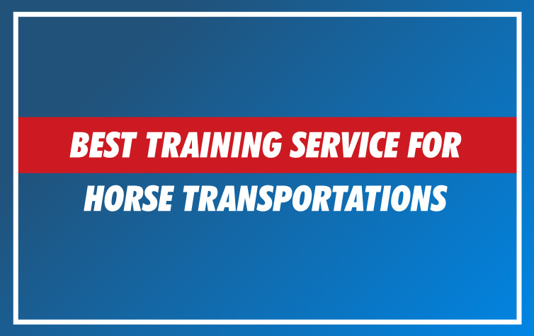 Best Training Service for Horse Transportations